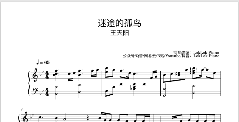 图片[1]-《迷途的孤鸟》  钢琴谱 乐谱  曲谱 王天阳  钢琴谱  曲谱 独奏琴谱（共2页）高还原